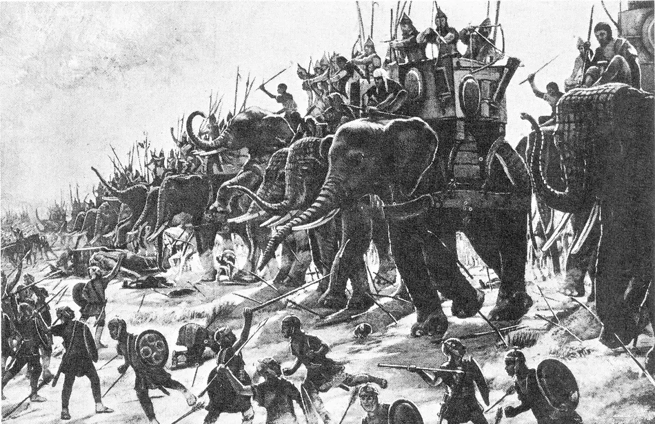 Elefantes de guerra em combate