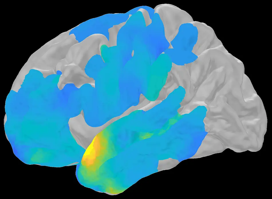 Ondas cerebrais e memória